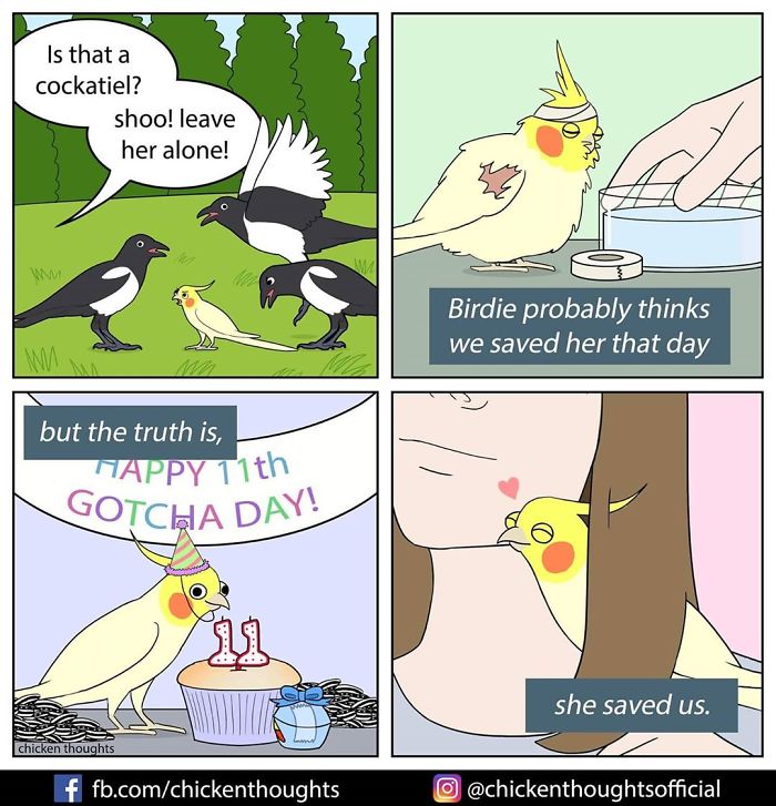 30 Quadrinhos Engracados De Papagaios Ilustrados Por Um Proprietario De Passaro 24