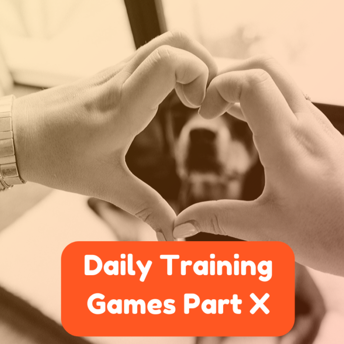 Daily Dog Training Games Part X