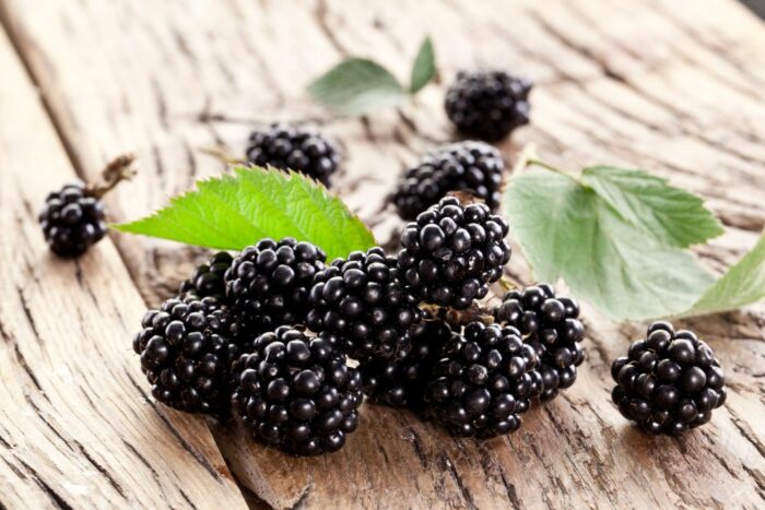 Blackberry Care How To Grow And Harvest Blackberries 700x467