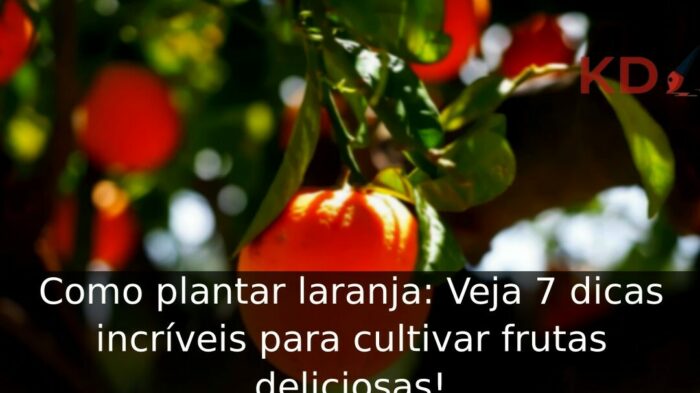 Aprenda A Plantar Laranja Em Casa E Ter Uma Arvore Frutifera 700x393