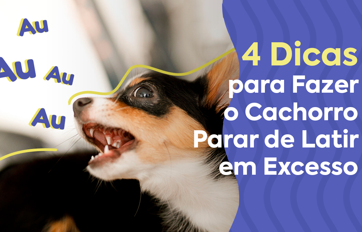 Descubra o segredo para acabar com os latidos do cachorro do vizinho!